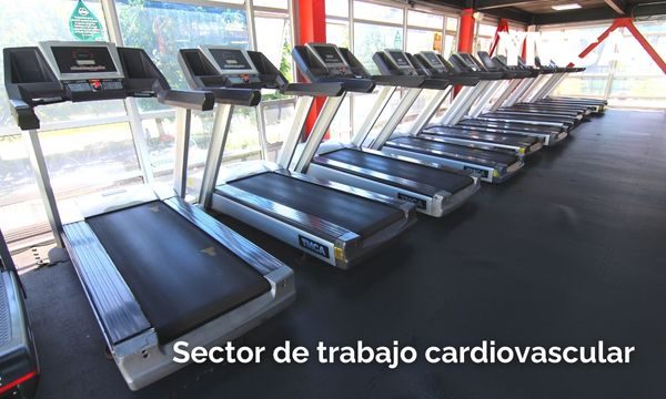 YMCA Temuco 2024 (48)