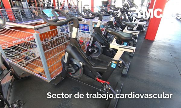 YMCA Temuco 2024 (52)