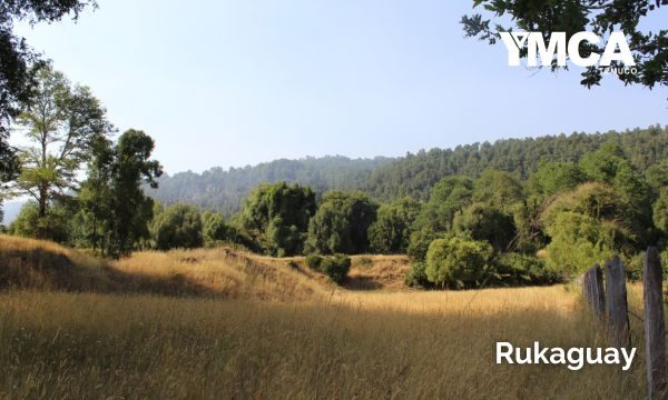 YMCA Temuco Rukaguay 2024 (28)